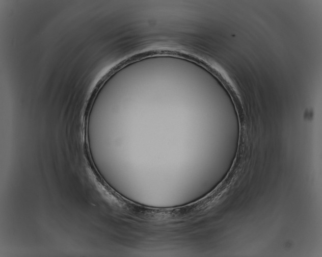X0000091660791200708230949