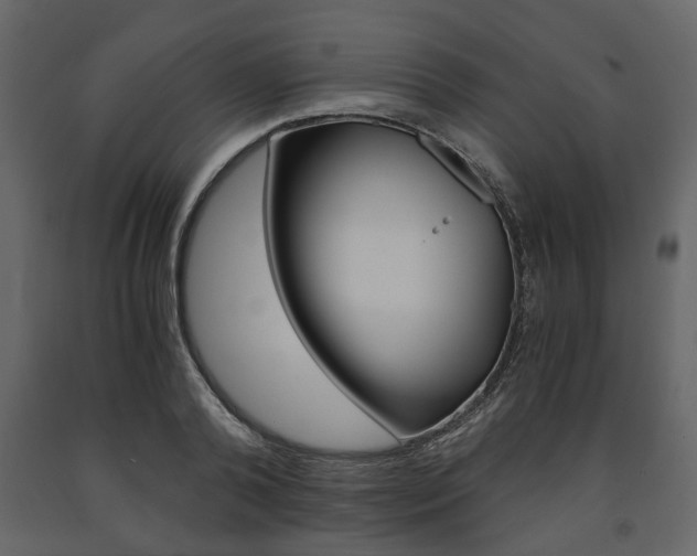 X0000091660792200708230949