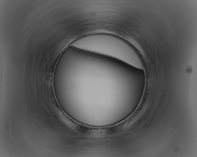 X0000091660793200708230949