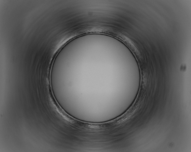 X0000091660794200708230949