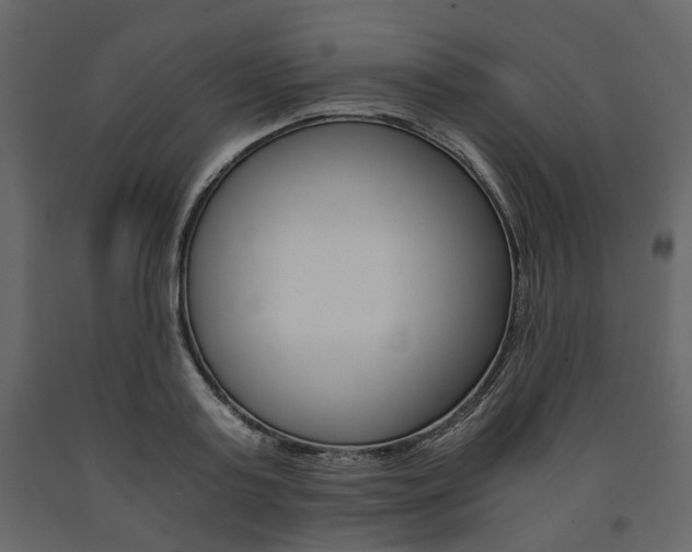 X0000091660795200708230949