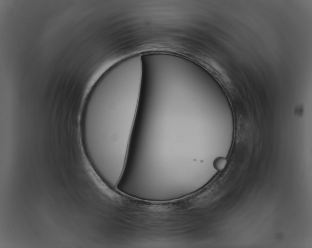 X0000091660796200708230949