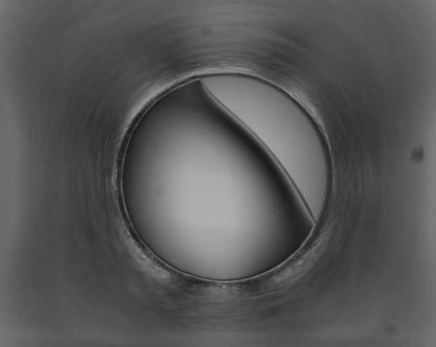 X0000091660797200708230949