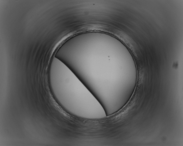 X0000091660798200708230949