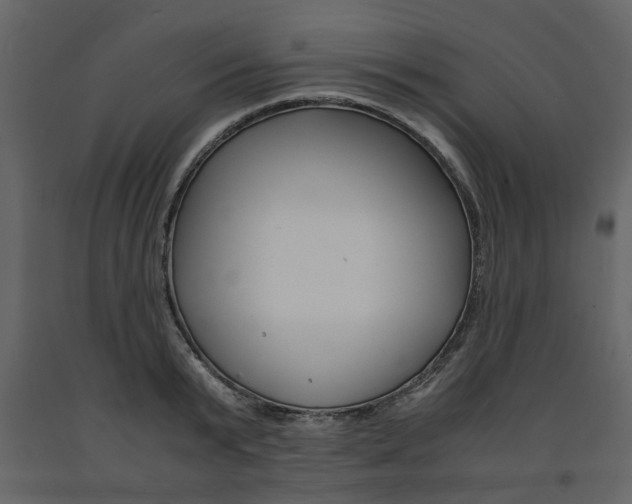 X0000091660799200708230949