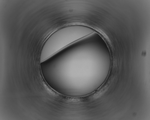 X0000091660801200708230949