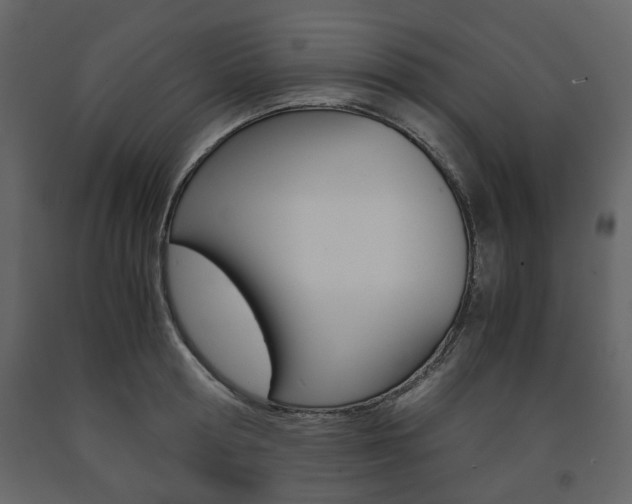 X0000091660802200708230949