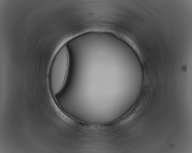 X0000091660803200708230949