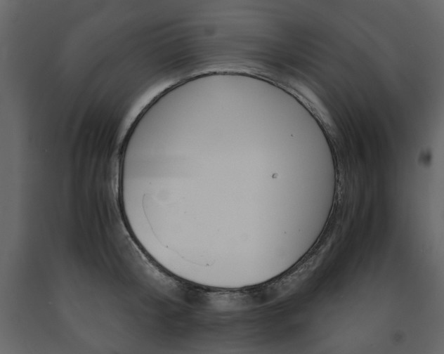 X0000091660804200708230949