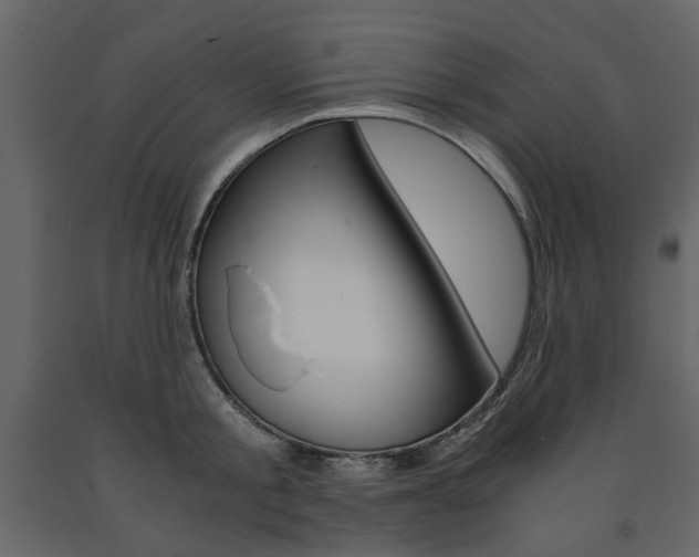 X0000091660805200708230949