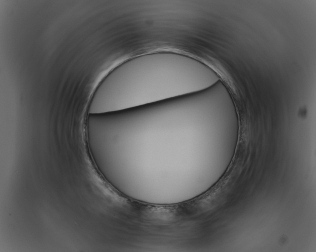 X0000091660806200708230949