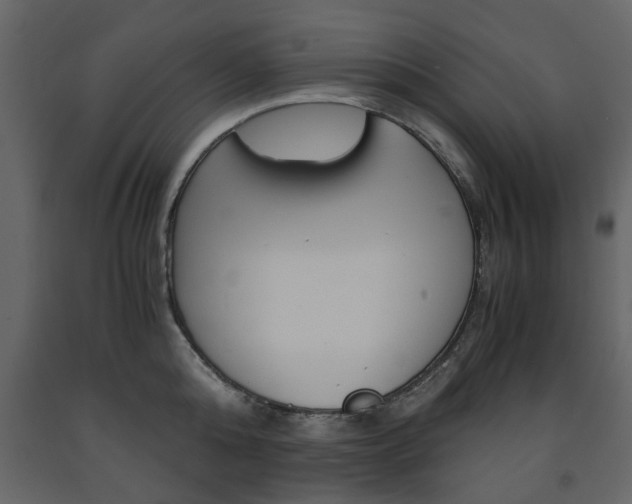 X0000091660808200708230949