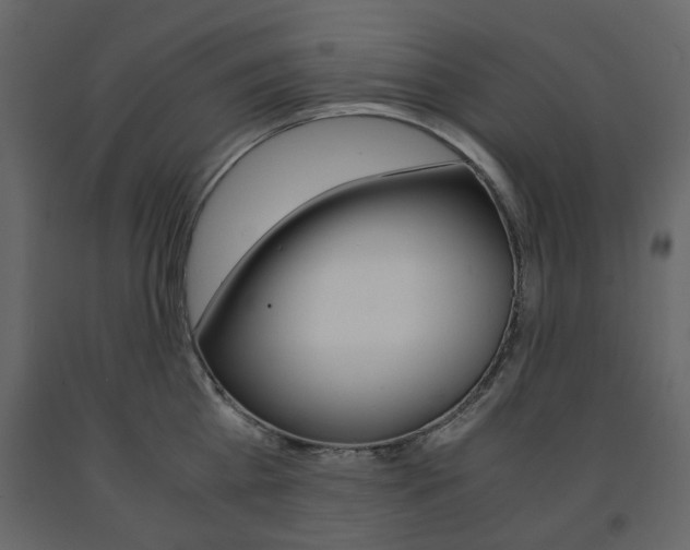 X0000091660809200708230949