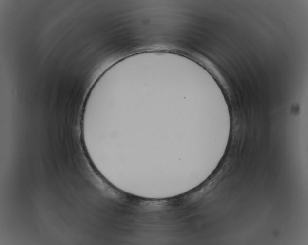 X0000091660810200708230949