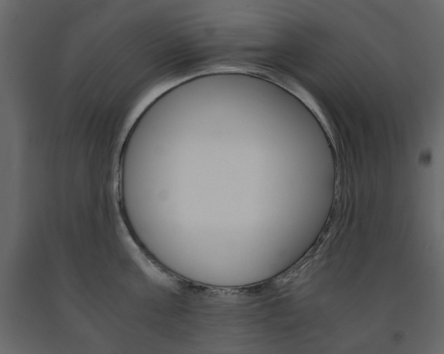 X0000091660811200708230949
