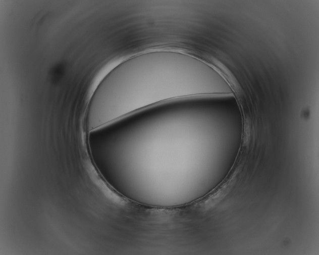 X0000091660812200708230949