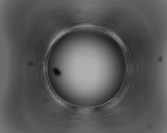 X0000091660813200708230949