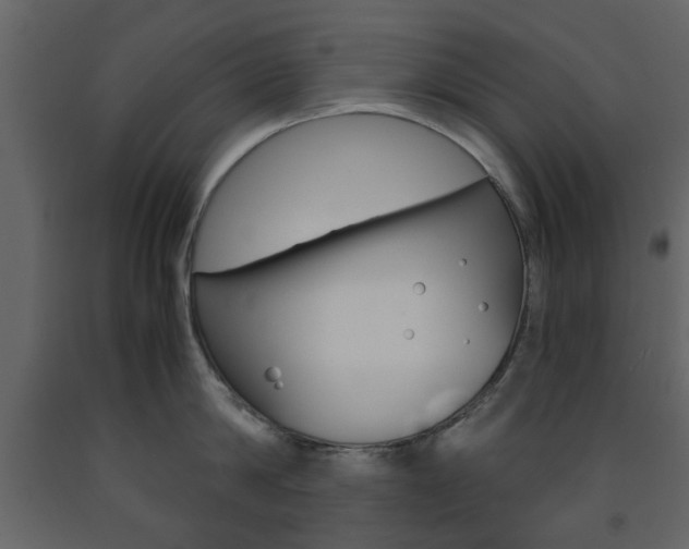 X0000091660814200708230949