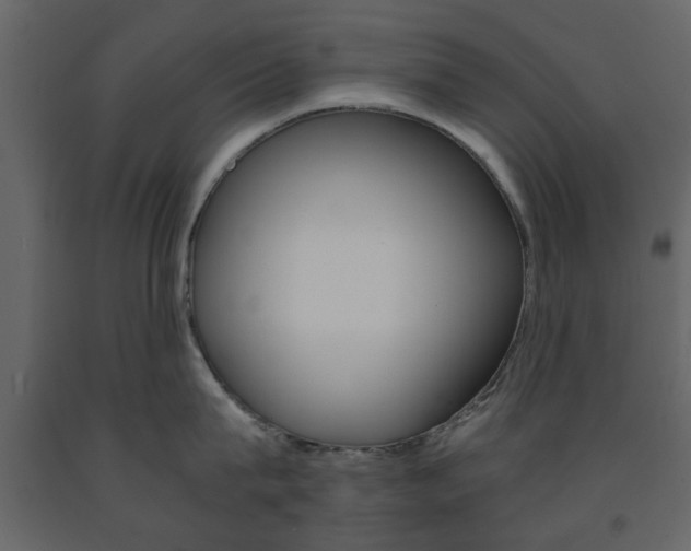 X0000091660815200708230949
