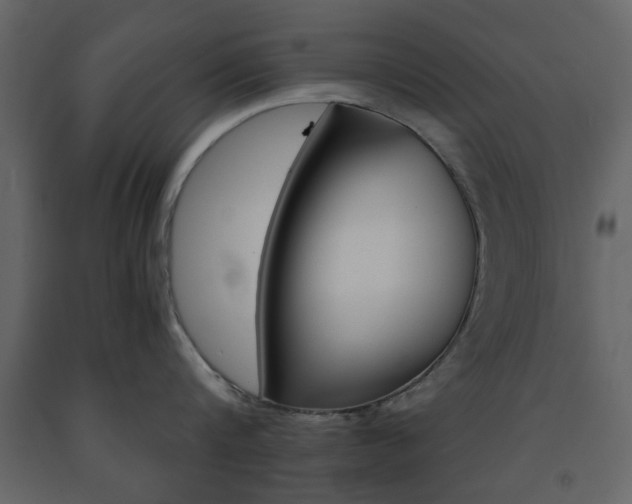 X0000091660816200708230949