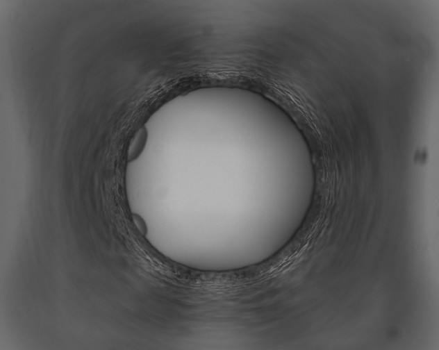 X0000091660817200708230948