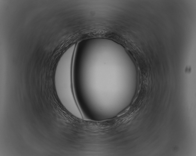 X0000091660818200708230948