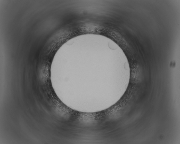 X0000091660820200708230948