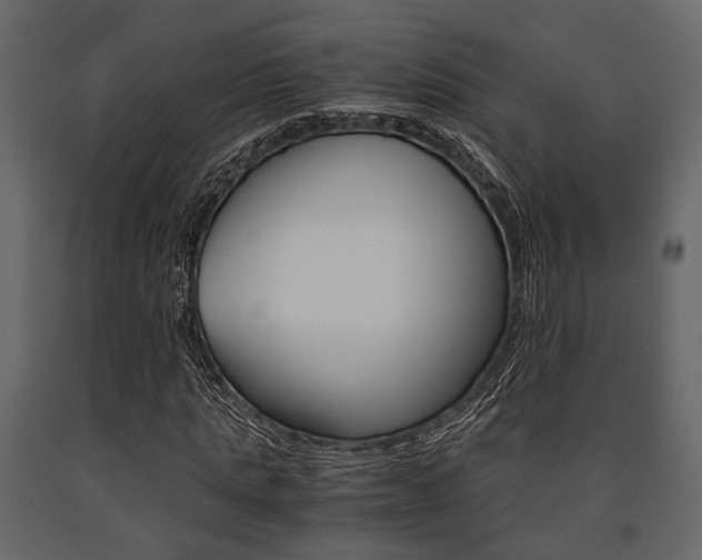 X0000091660821200708230948
