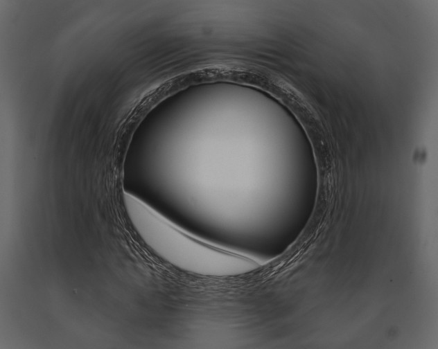 X0000091660822200708230948