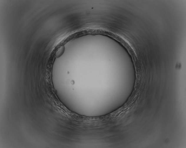 X0000091660823200708230948