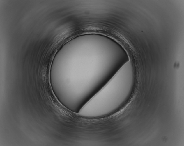 X0000091660825200708230948