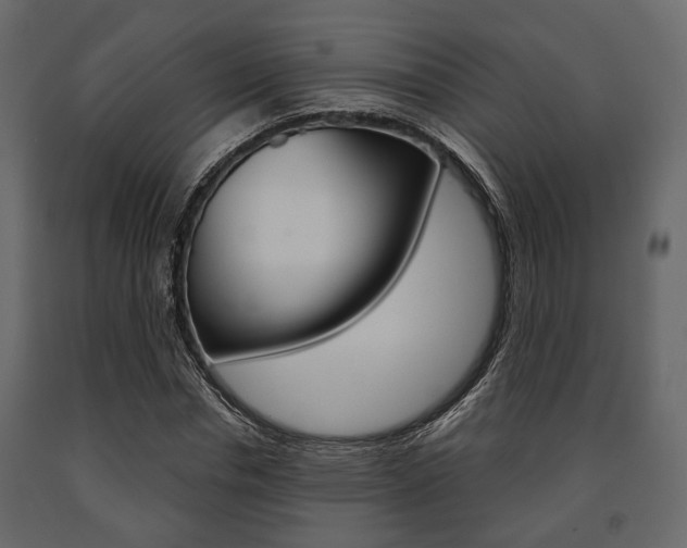 X0000091660826200708230948