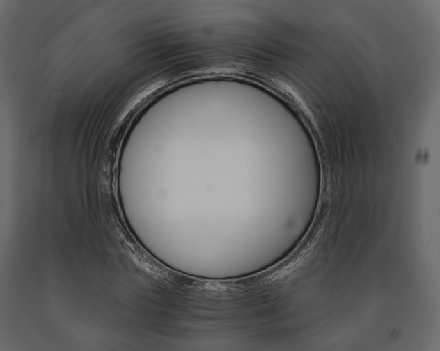 X0000091660827200708230948
