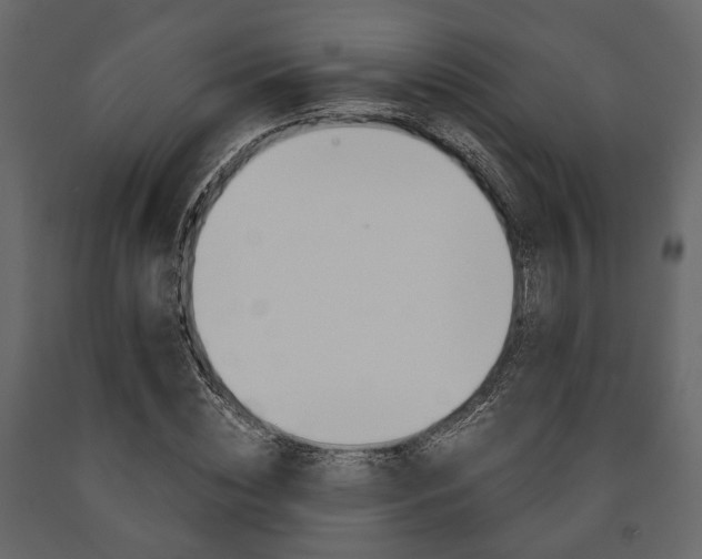 X0000091660828200708230948