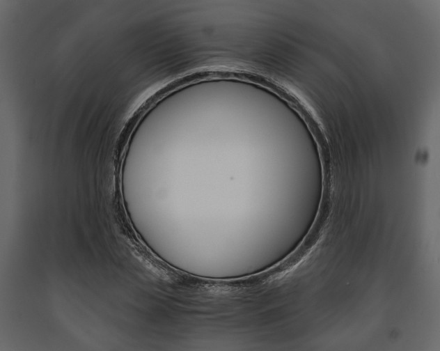 X0000091660829200708230948