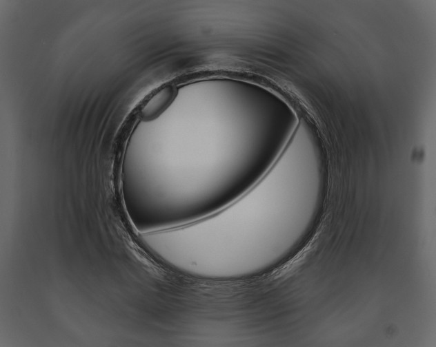 X0000091660830200708230948