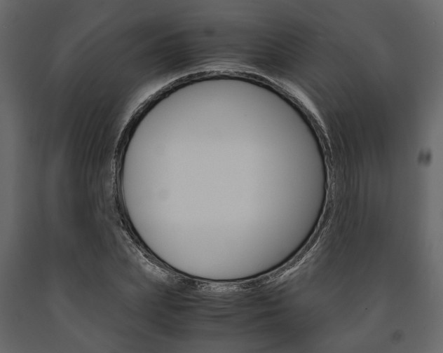 X0000091660831200708230948