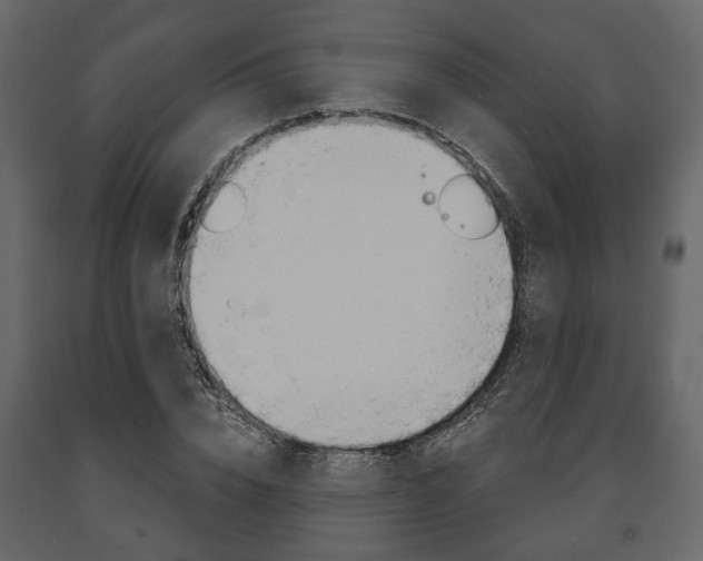 X0000091660832200708230948