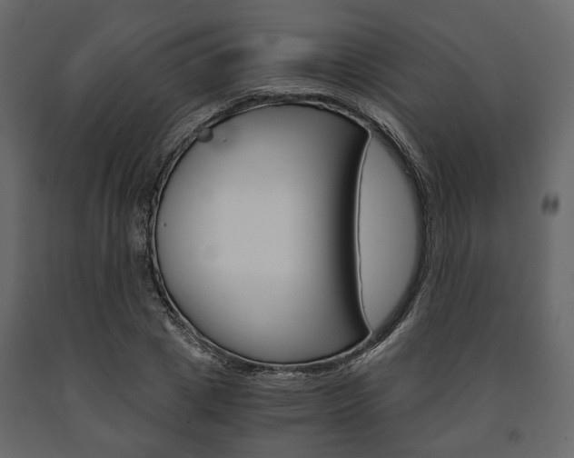 X0000091660833200708230948