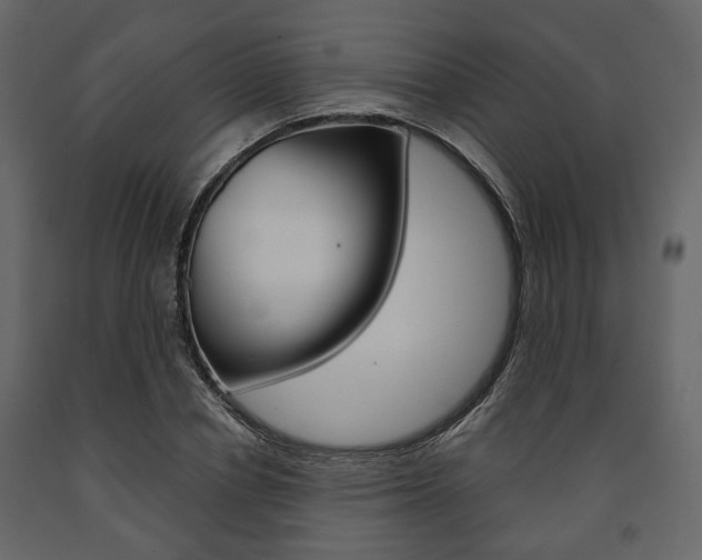 X0000091660834200708230948