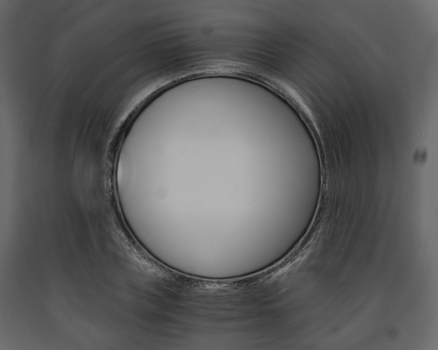 X0000091660835200708230948