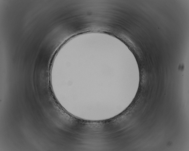 X0000091660836200708230948