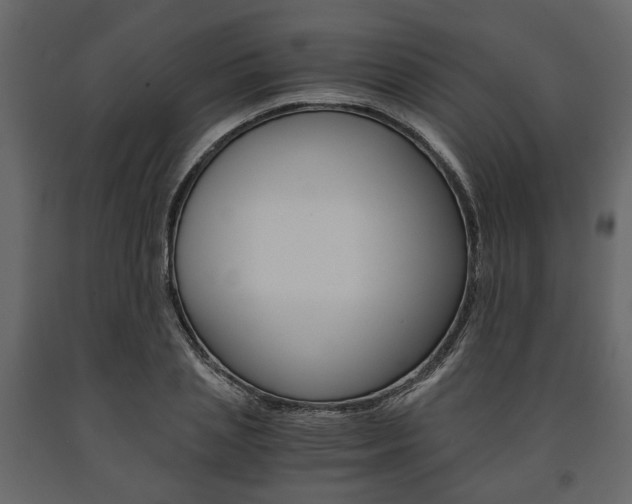 X0000091660837200708230948