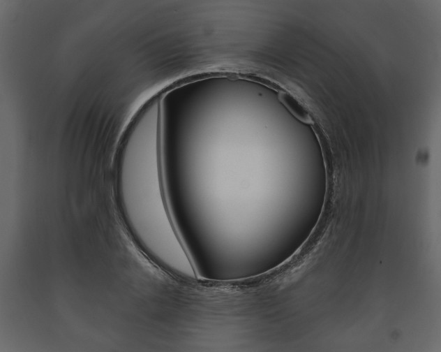 X0000091660838200708230948