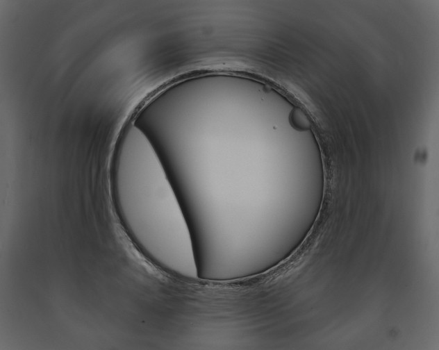 X0000091660840200708230948