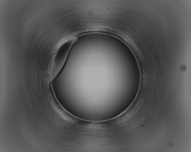 X0000091660842200708230948