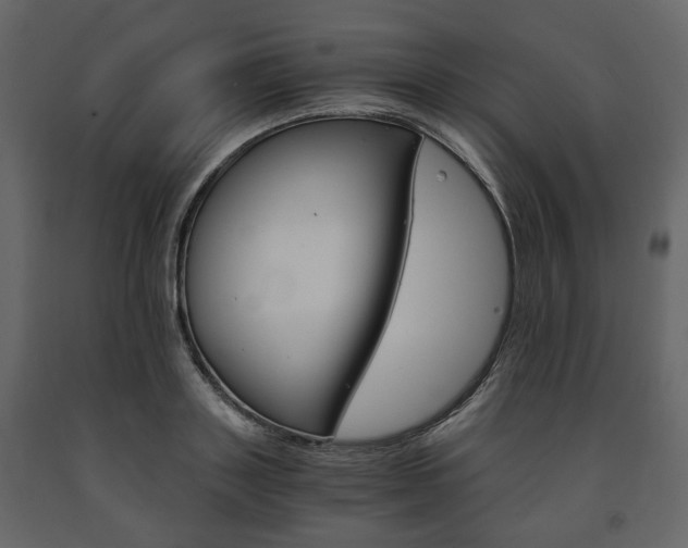 X0000091660843200708230948