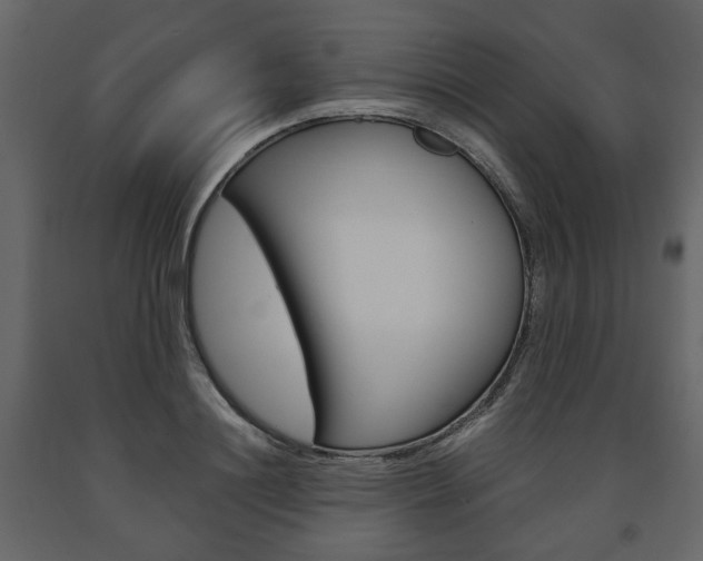 X0000091660844200708230948