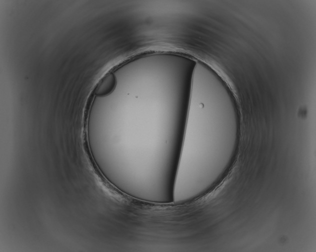 X0000091660845200708230949