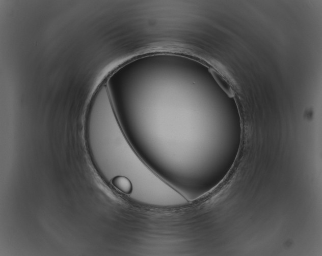 X0000091660846200708230949
